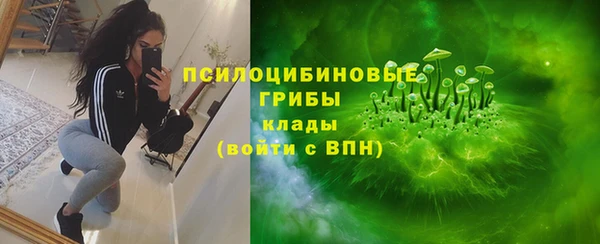 герыч Алексин