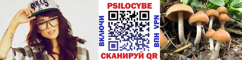 Псилоцибиновые грибы Psilocybe  Александров 